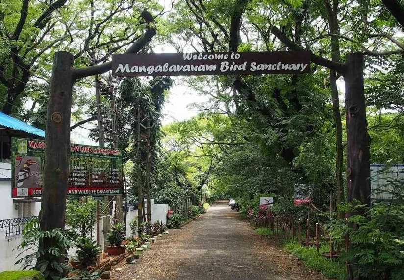 Mangalavanam Bird Sanctuary in kochi