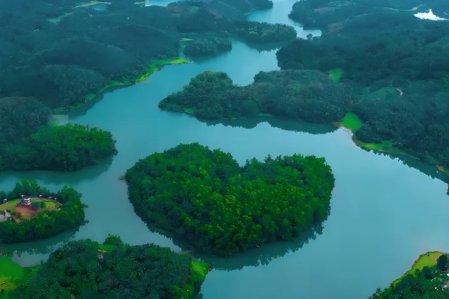 island in kochi arial shot
